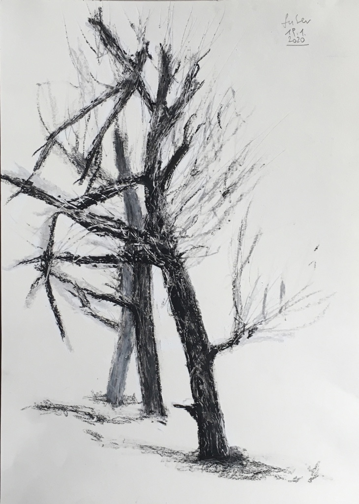Nach einem Foto von Maxim Dondyuk, 2017: Ein zerschossenen Baum, der sich mühsam erholt.